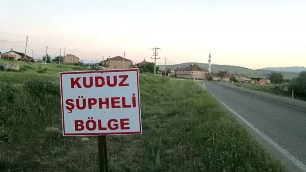 Hatay Samandağ’da 4 mahallede kuduz alarmı 1 9865