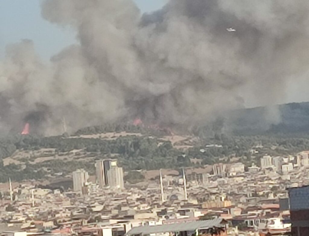 İzmir Buca’da Yangın : Havadan ve Karadan Müdahalede 1 buca yangın